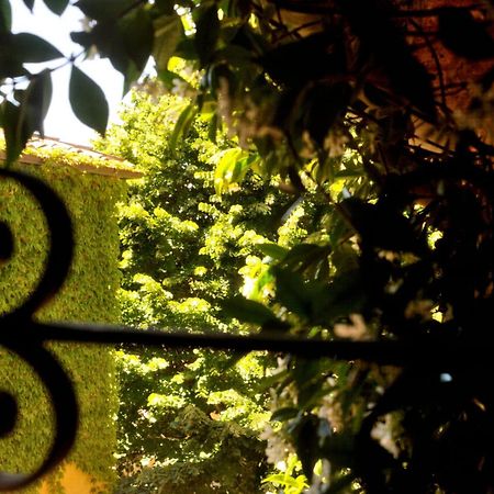 Borgo Lucignanello Bandini Villa San Giovanni dʼAsso Екстериор снимка